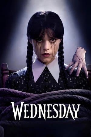 noSynopsis