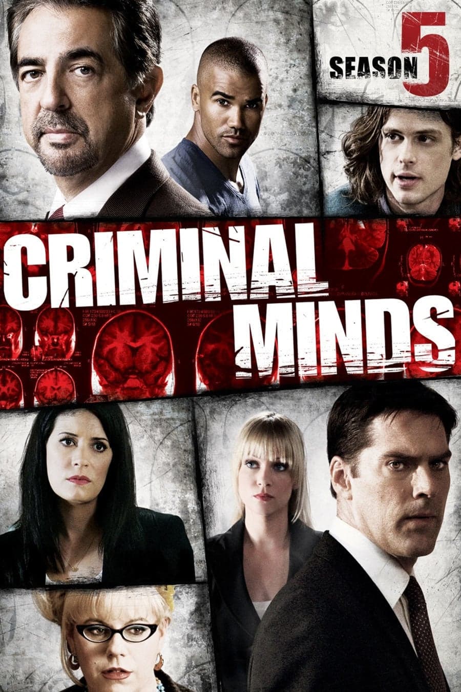 noSynopsis