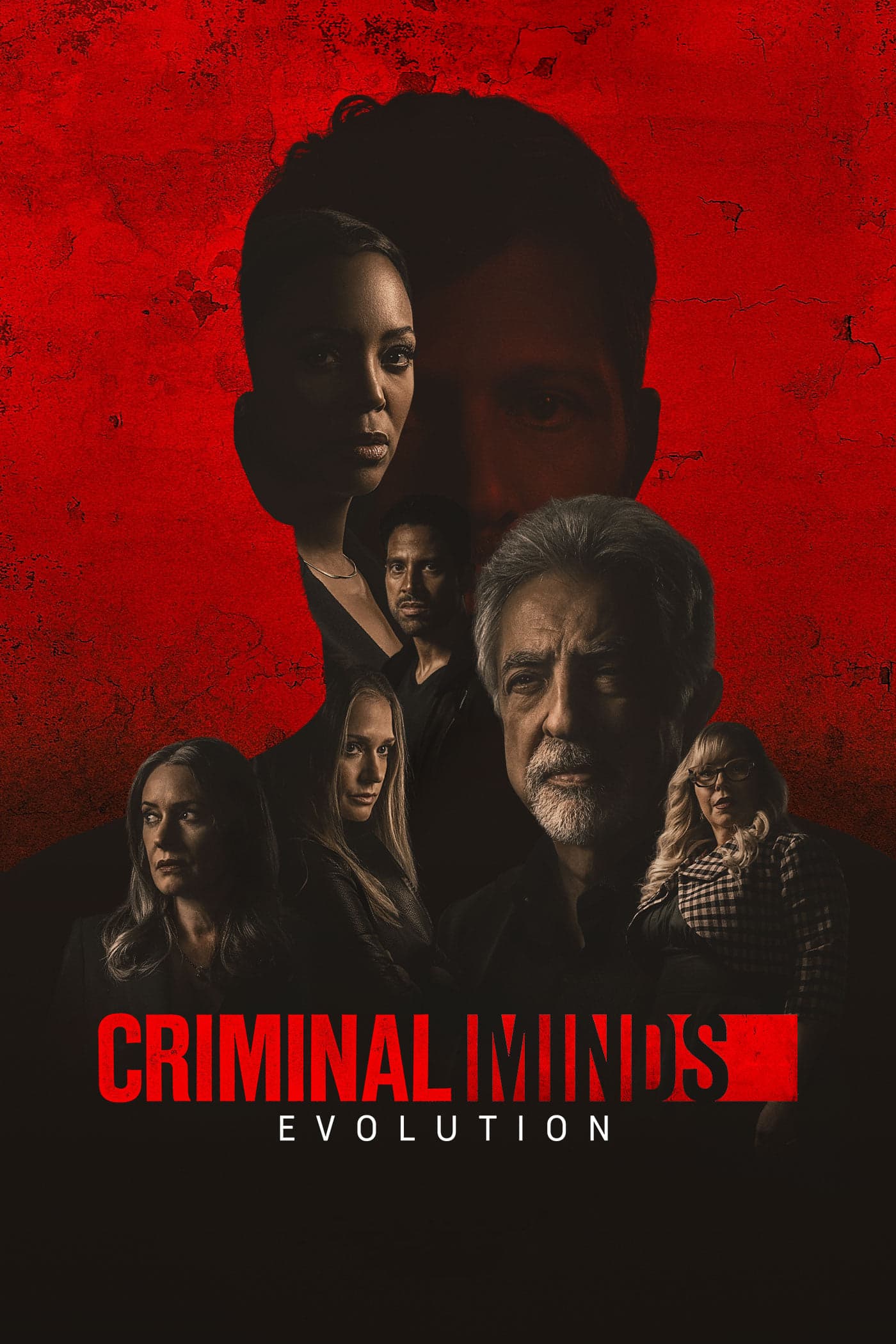 noSynopsis