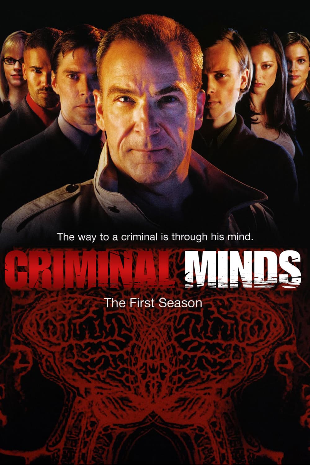 noSynopsis