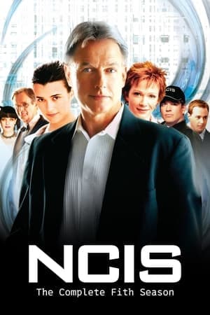 noSynopsis