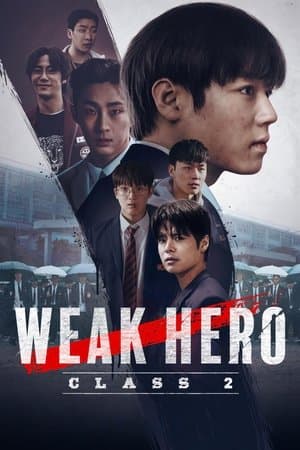 noSynopsis