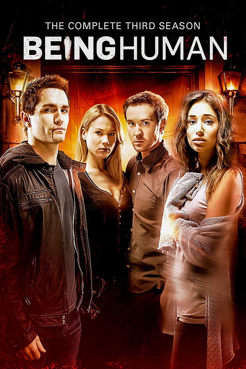 noSynopsis