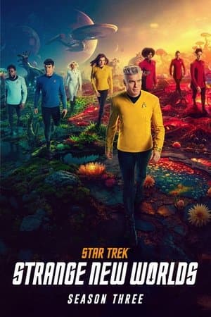 noSynopsis