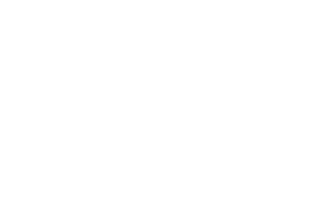The White Princess