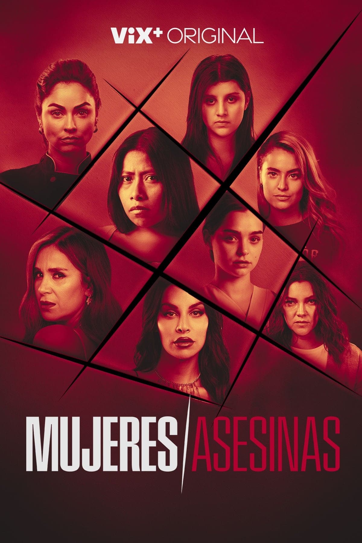 noSynopsis