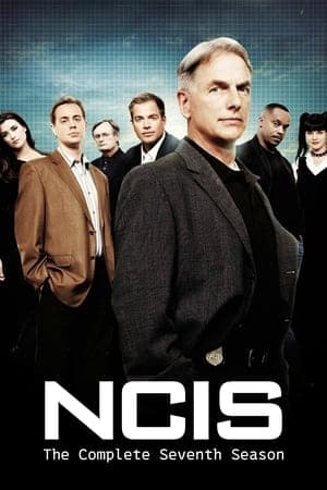 noSynopsis