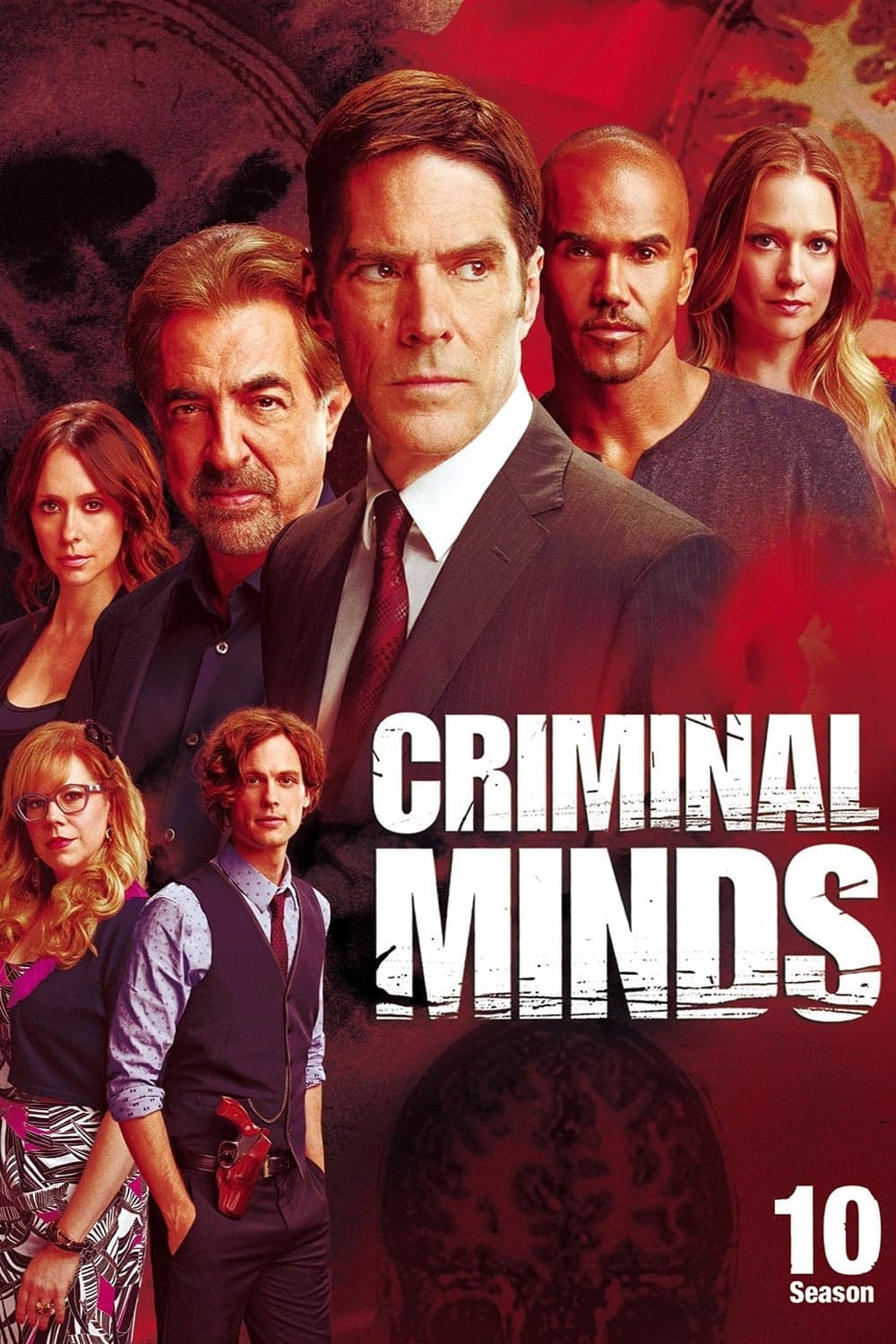 noSynopsis