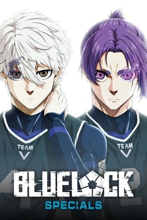 noSynopsis