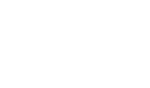 Four Lions