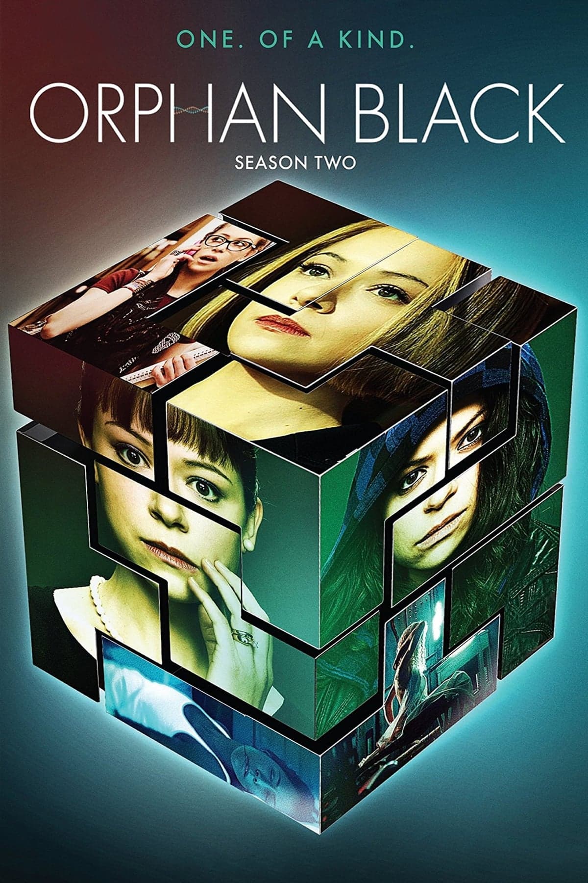 noSynopsis