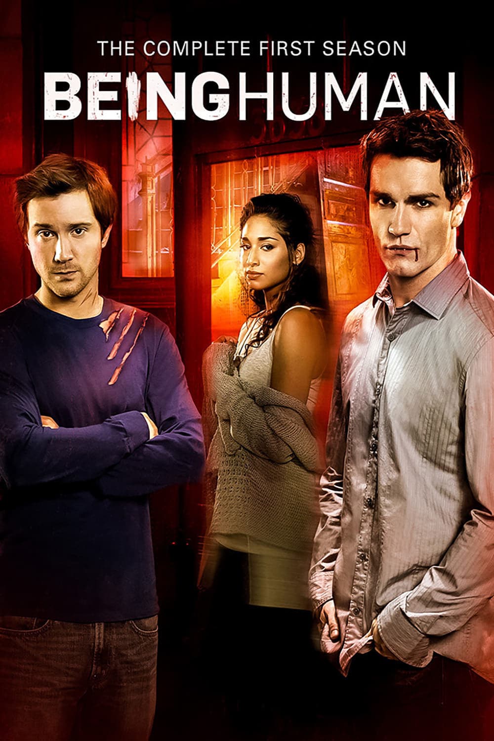 noSynopsis