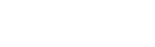 Palmer