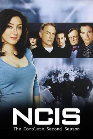 noSynopsis