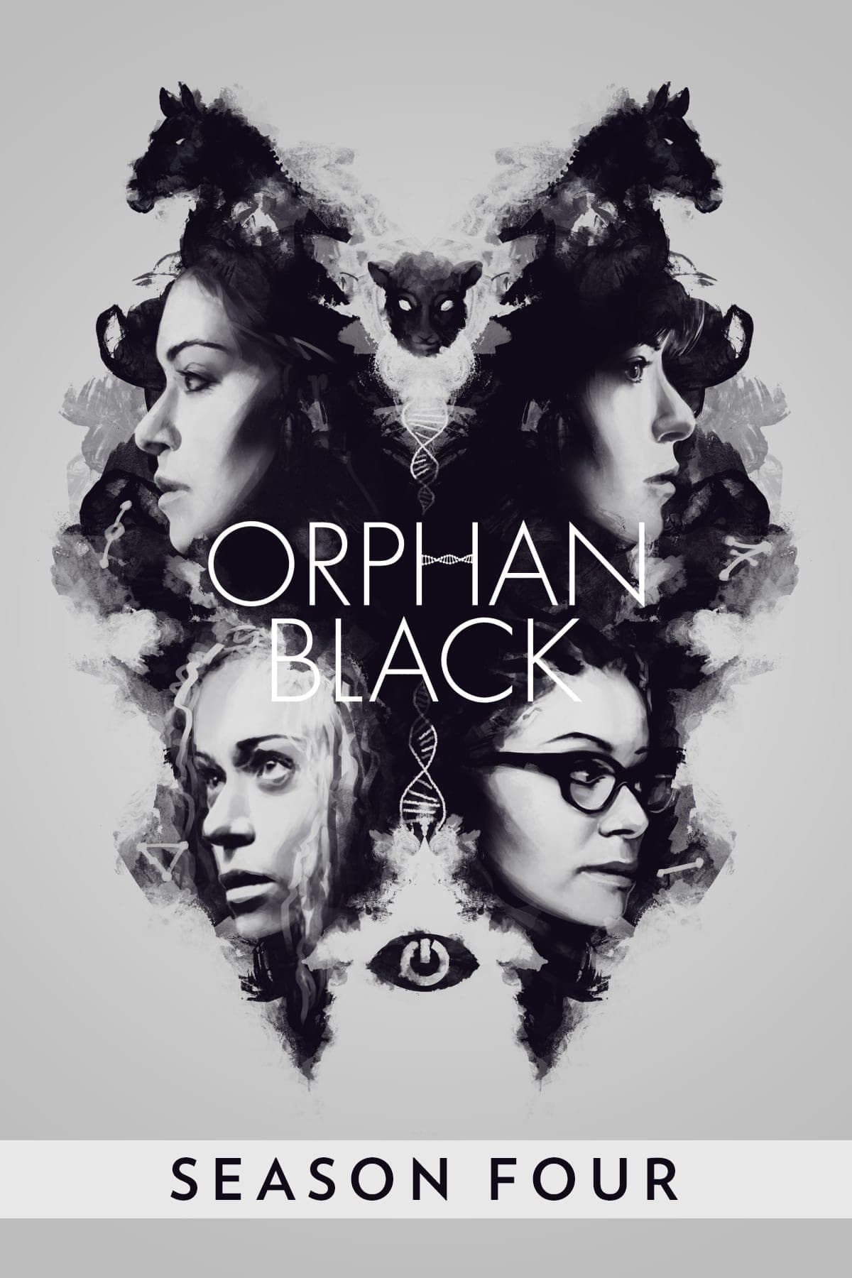noSynopsis