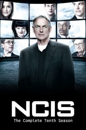 noSynopsis